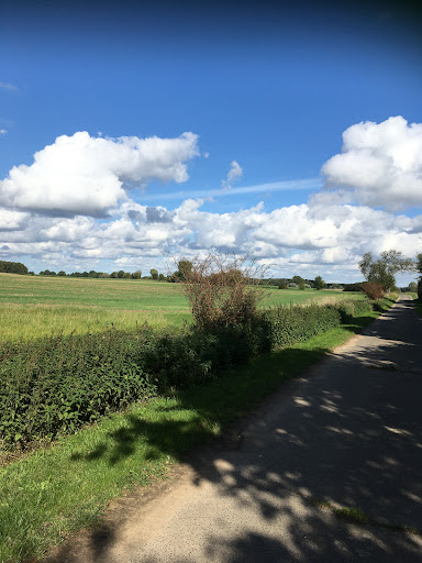 Sophienthal Dorfstraße - Gudow