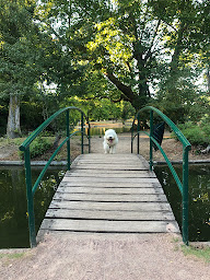 Photo n°6 de Immobilière du Parc à Le Vésinet (Agence immobilière)