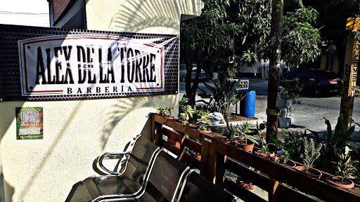 ALEX DE LA TORRE BARBERÍA