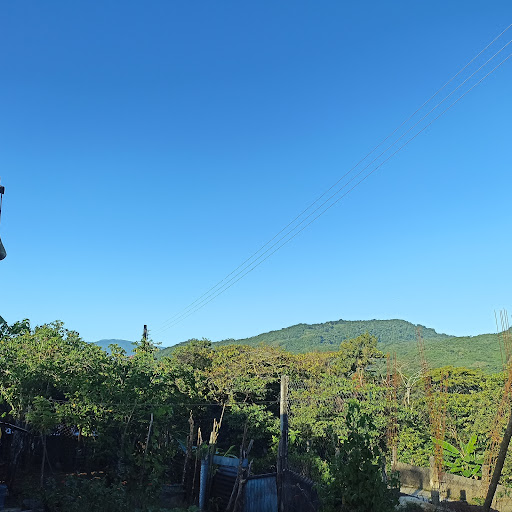 Chulum chico - Visual