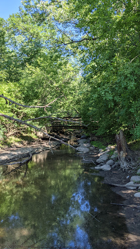 Gunnar Anderson Forest Preserve - Thumbnail