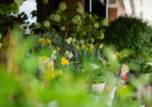 Photo n°6 de L'Atelier Vert à Verteuil-sur-Charente (Livraison de fleurs)