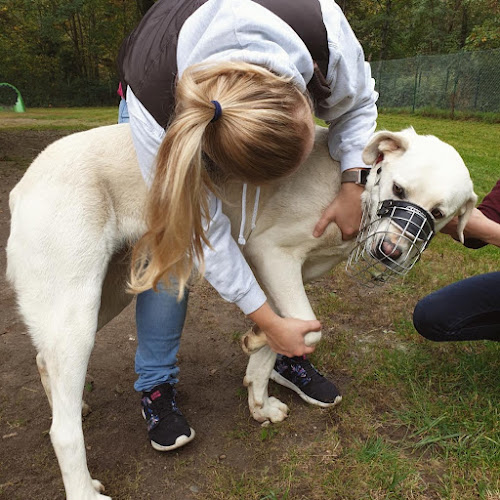 TierPhysiotherapie & Osteopathie - TPO Solingen