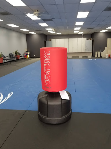 USK TAE KWON DO ELSINORE - Thumbnail