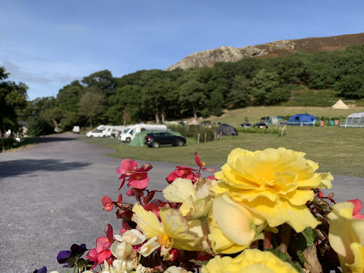 Trwyn yr Wylfa Caravan & Camping Site - Thumbnail