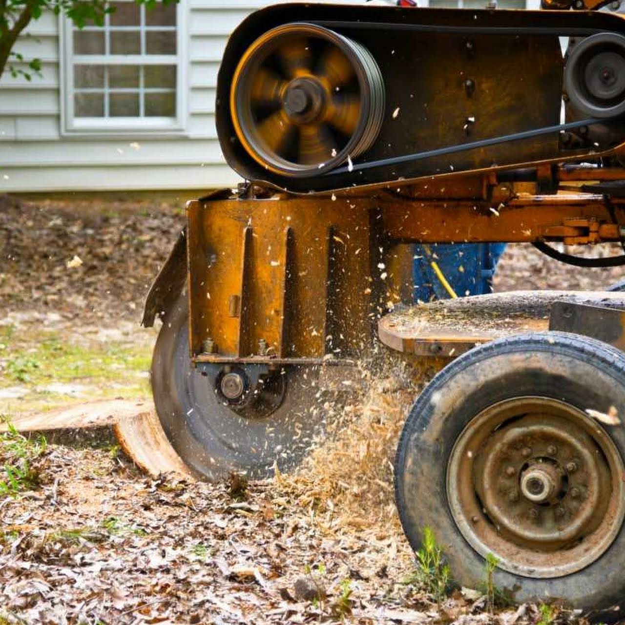 Mejia Tree Service Tree Service in Bartlett