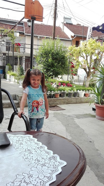 Photos of Bazen Garden