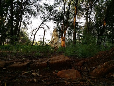Photos of Shady Acres