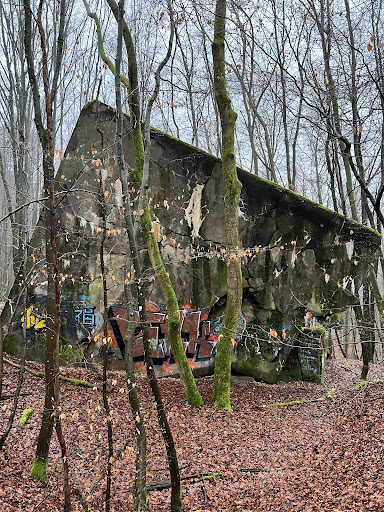 Gesprengter Westwallbunker - Thumbnail