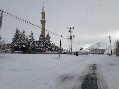 Photos of Boğaz K&ouml;y&uuml; Yeni Cami