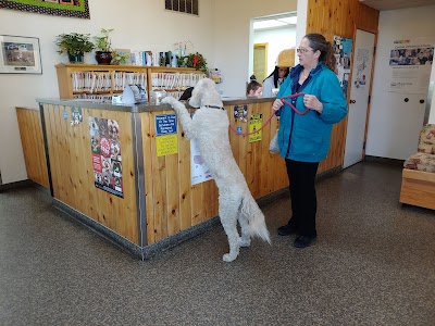 Hullman Veterinary Hospital