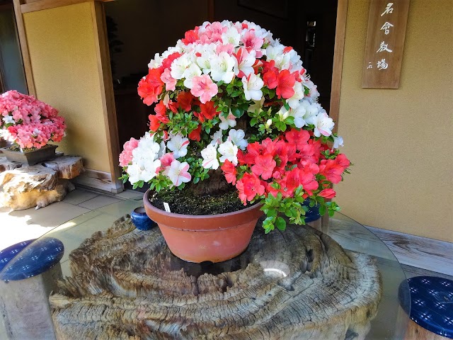 春花園 盆栽美術館