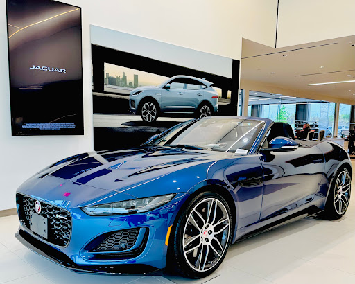 Jaguar Frisco - Thumbnail