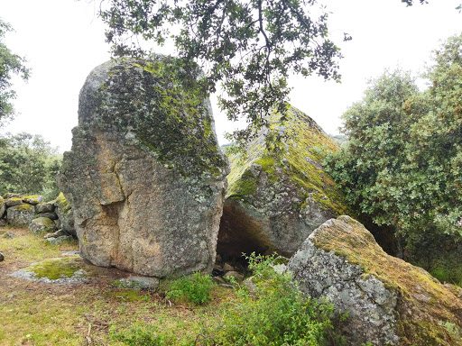 Piedra del dedo meñique Logo