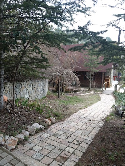 lodging