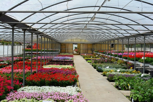 Durì Garden Center | Fioreria, Vivaio - Thumbnail