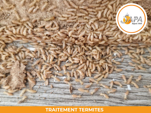 SAPA 65 - Traitement Bois Termites - Thumbnail