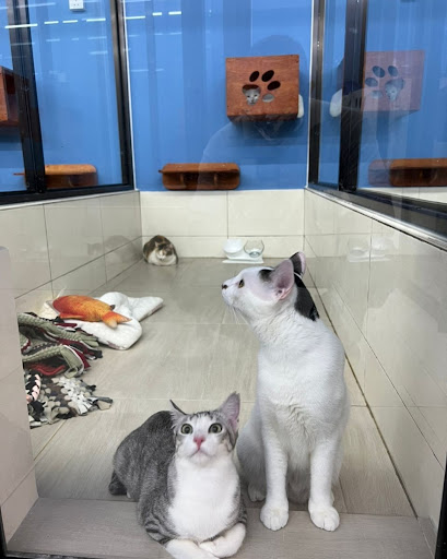Grahati Pet House