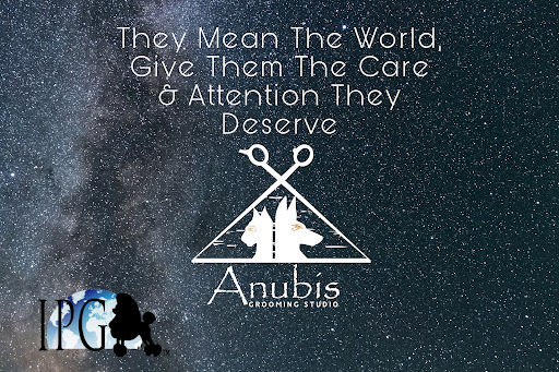 Anubis Grooming Studio®️