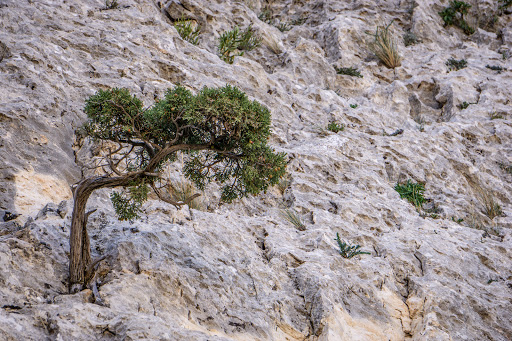 Parking Jumilla La Graja - Thumbnail