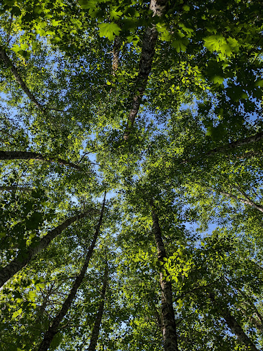 Taylor Wetlands Park - Thumbnail