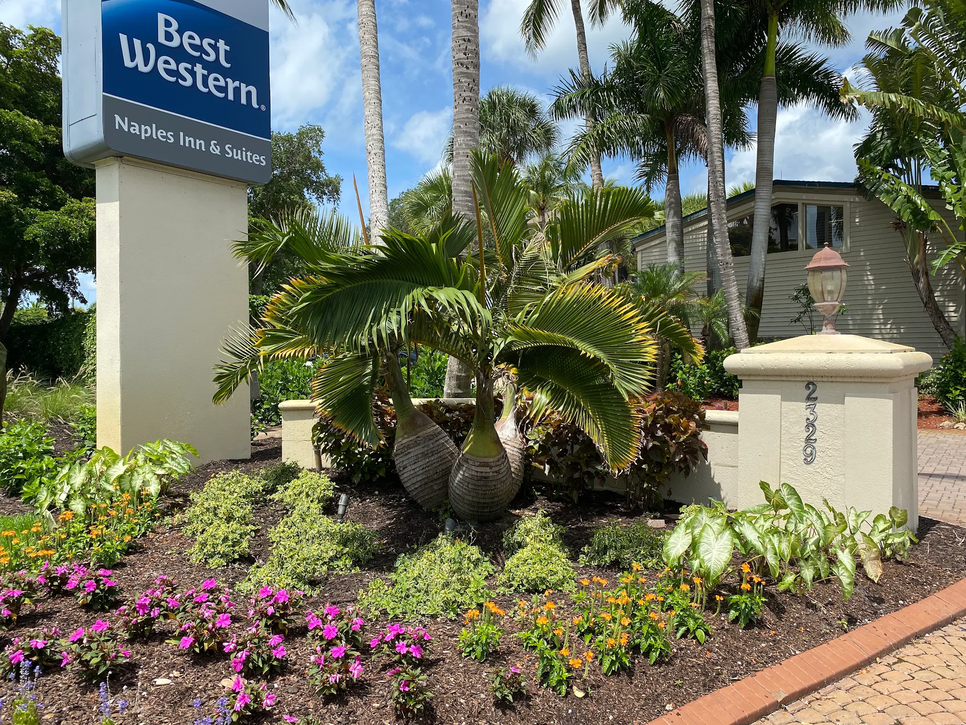 Best Western Naples Inn & Suites