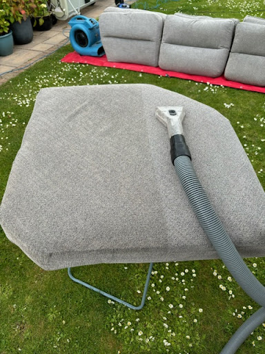 Copper Beech Cleaning - Thumbnail