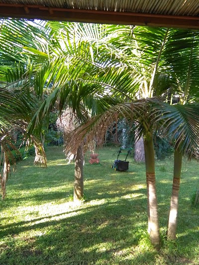 Photos of Hotel La Filadelfia
