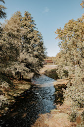 Photo n°51 de Hôtel de France à Chalabre (Hôtel)