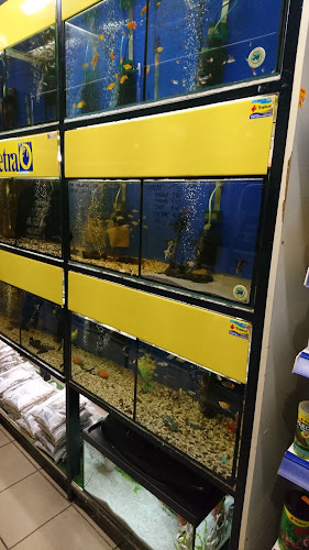 Sklep zoologiczny Rex - Słupsk