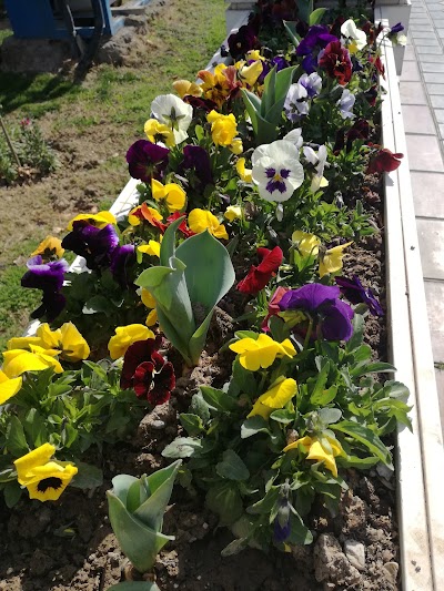 Photos of Sahand Park