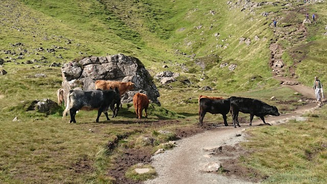 Old Man of Storr Car Park