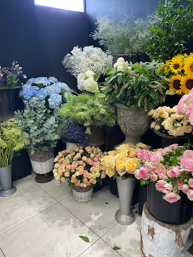 FLEURS FABRE Gallery - France