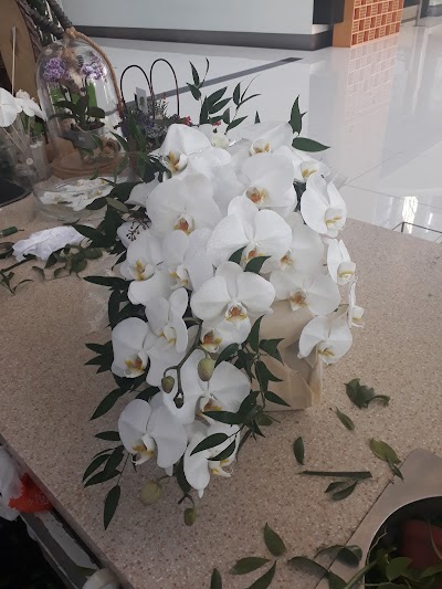 Photos of Blossom Tree Flower Shop