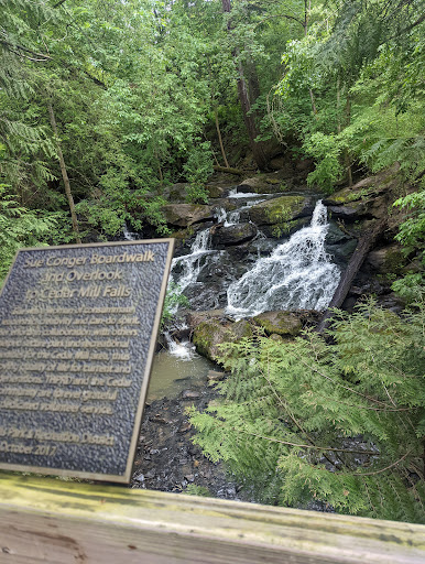 Cedar Mill Falls - Visual