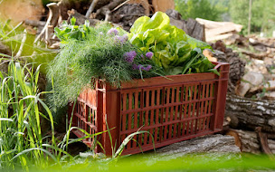 Photo n°4 de La Ferme de Cagnolle à Pays de Belvès (Maraîcher)