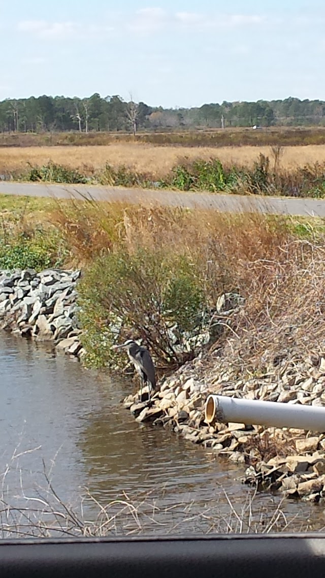 Blackwater National Wildlife Refuge Visitor Center