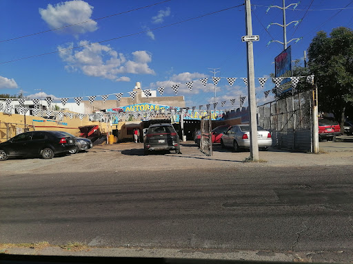 Auto baño y servicios