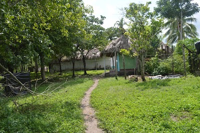 Photos of Campamento El Chiclero