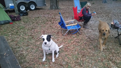 O'Leno River Rise Horse Camping And Trails - Thumbnail