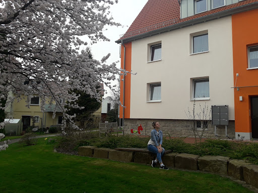 Gemeinnütziger Bauverein eG Bad Pyrmont - Thumbnail