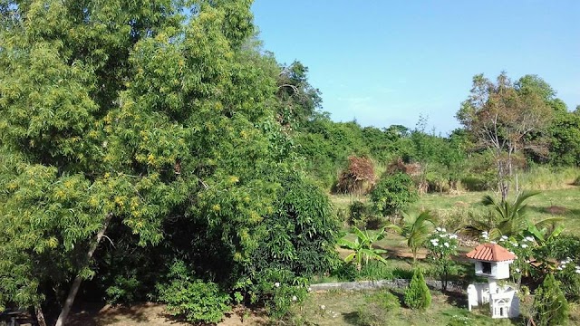 French Nature Villa