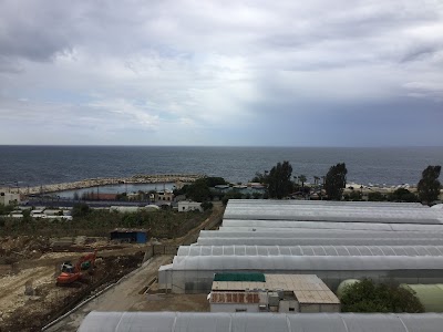 Photos of New Santa Theresa Beach
