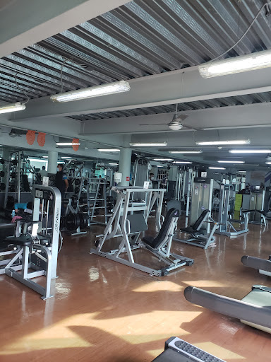 Anytime Fitness Providencia Logo