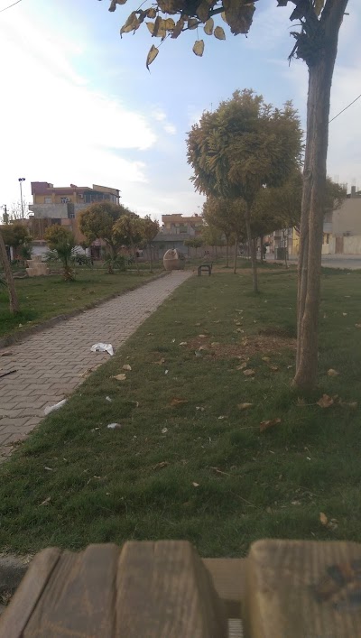 Photos of Park