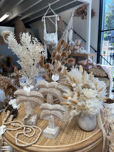Beached Collective - Visual
