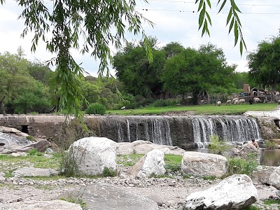 Photos of Naguan Tica