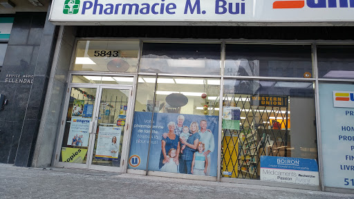 Bui Pharmacy - Visual