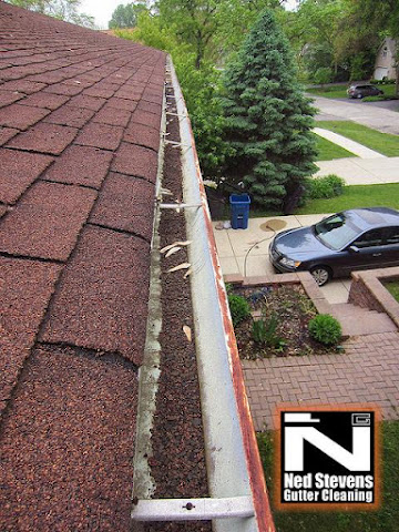 Ned Stevens Gutter Cleaning