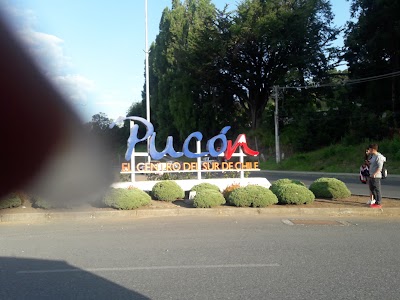 Photos of Caba&ntilde;as en Pucon La Dolce Vita